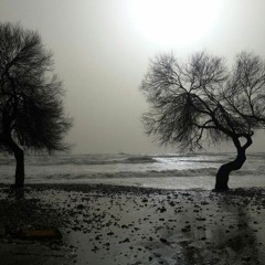 Ağlamak için gözden yaş mı akmalı - Victor Hugo