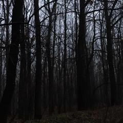 Вышел покурить-Больная психика