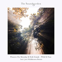 Premiere: Erdi Irmak, Flowers On Monday - Colors [The Soundgarden]