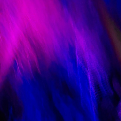 Pink speed and sharp teeth!