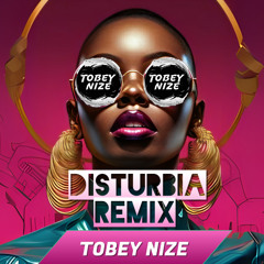 Rihanna - Disturbia (TOBEY NIZE REMIX)