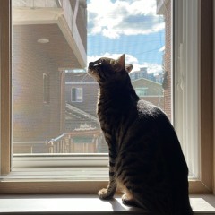 Sunday breakfast (cover)