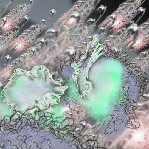 PREMIERE: Toumba and Duswunder - Fawda (Caninal)