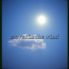 moves in the wind