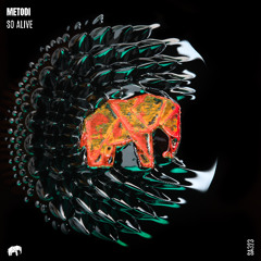 METODI - Attraction