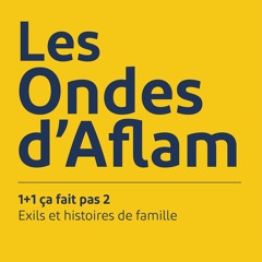 1+1 ça fait pas 2 - Exils et histoires de famille