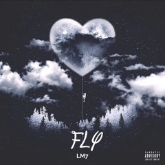 LM7 - Fly