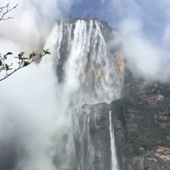 Testimonio de periodista Arianna Arteaga sobre video del Kerepakupai grabado en octubre de 2018