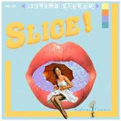 Slice