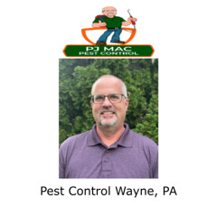 Pest Control Service Wayne, PA