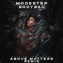 Modestep - Bodybag (Above Matters Remix)