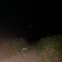 they’ll find my corpse in a lake or something pathetic like that