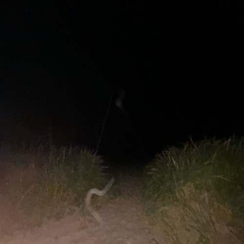 they’ll find my corpse in a lake or something pathetic like that