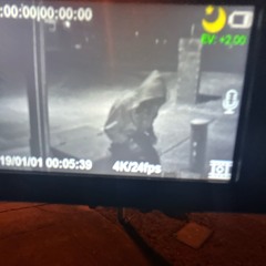 Dǎnzǒ prod.raptor