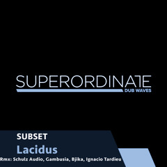 SUBSET - Lacidus (Schulz Audio Rmx) [Superordinate Dub Waves]