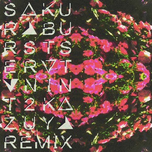 sakuraburst - serotonin (T2Kazuya Remix)