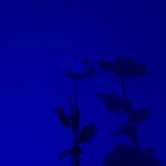 we could be more than ghosts