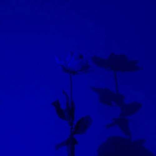 we could be more than ghosts