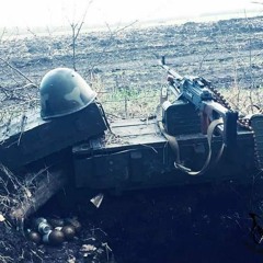 Луговая трава