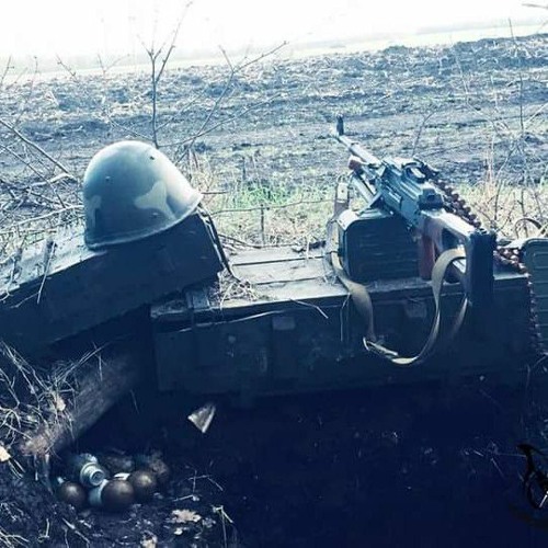 Луговая трава