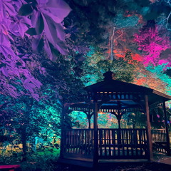 PARTY (prod. wokluva)