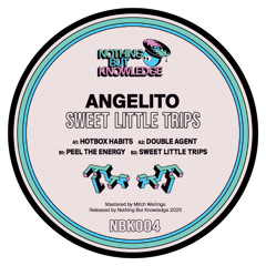 Angeilto - Sweet Little Trips EP (Nothing But Knowledge 004)