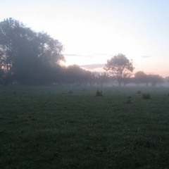 Cuckoos calling at dawn in an English river valley