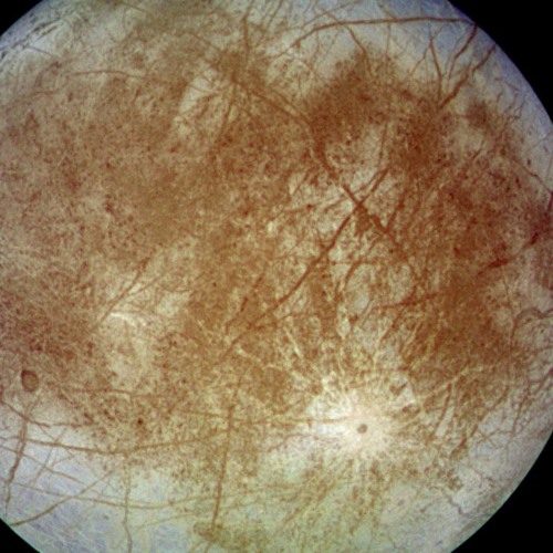 The Moons Of Jupiter- Europa