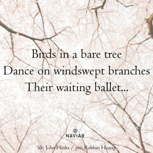 Barely a Bird [naviarhaiku476 - Birds in a bare tree]