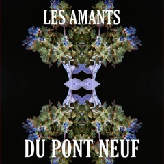 Les Amants Du Pont Neuf