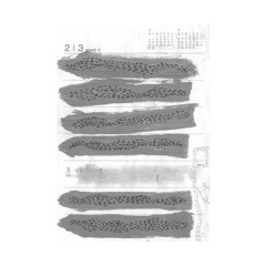 Mare Tranquillitatis