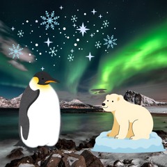 Aurora Borealis Lights In The Sky