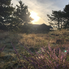 bottlewalz forest 130