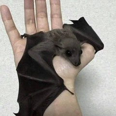 темный брилл – 2mg freestyle (ft. чати, chill painkill)