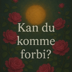 Kan du komme forbi?