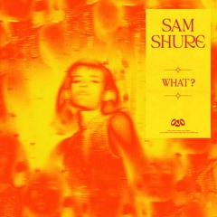 Sam Shure - What?