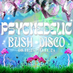 UV @ Psychedelic Bush Disco #2