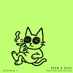 Selection Nº 5 | Drum & Bass | Sub-bass Rollers / Overview-ey
