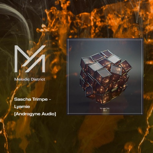 Sascha Trimpe – Lyamie [Androgyne Audio]