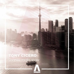 Tony Cicero • Shapes Festival
