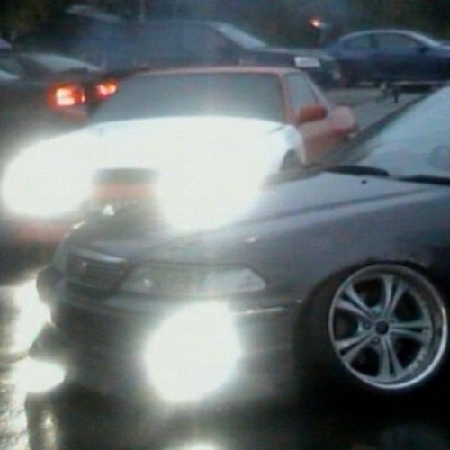 SHINGEN - STREET THUNDER