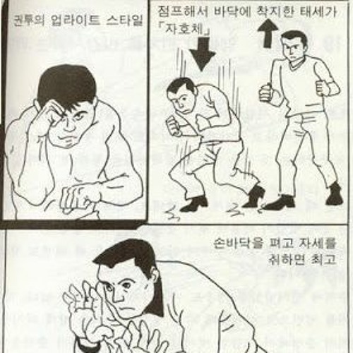 たいたい ( w / hanhoryong )