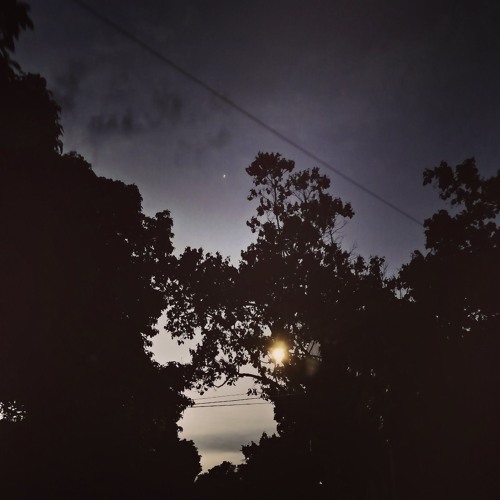 cada maniquí cometió suicidio - entreelhumodelasamapolas demo