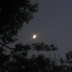 moon