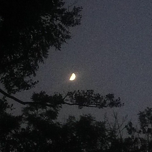 moon