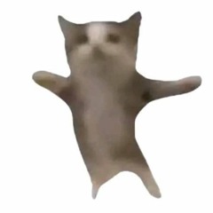 Happy Cat Drill Remix by J Way