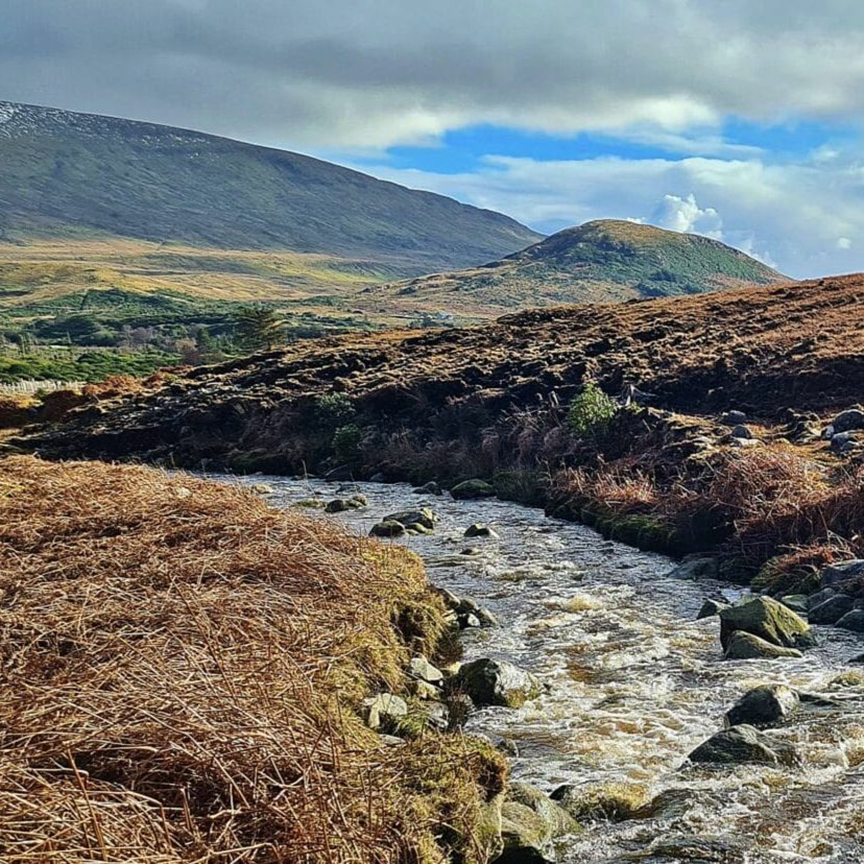 Peche en irlande