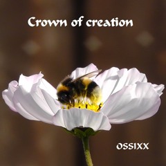 Crown Of Creation