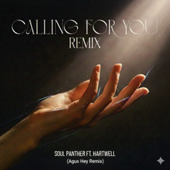 Soul Panther, Hartwell - Calling for you (Agus Hey Remix)