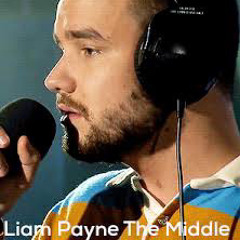Liam Payne - The Middle cover